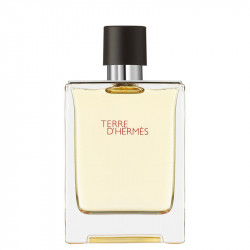 Terre d'Hermès, Eau de Toilette 100ML Erkek Parfüm