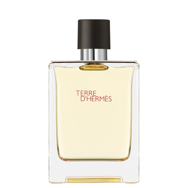 Terre d'Hermès, Eau de Toilette 100ML Erkek Parfüm