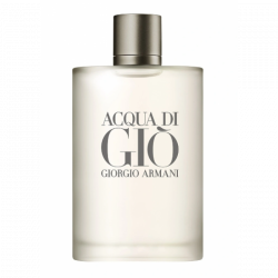 Giorgio Armani Acqua Di Gio Edt 100 Ml Erkek Parfümü